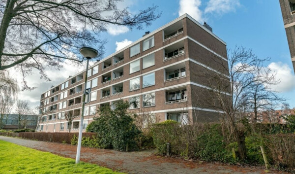 Paramaribostraat